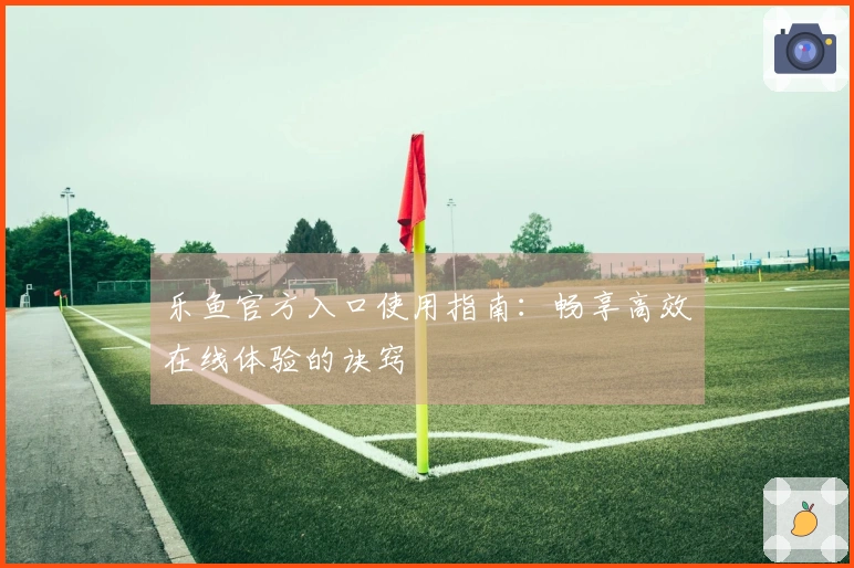 乐鱼官方入口使用指南：畅享高效在线体验的诀窍