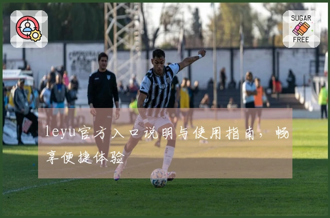 leyu官方入口说明与使用指南，畅享便捷体验